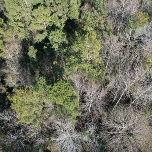 Photo #21 of Off Ashbury Lane, Richlands, NC 10.0 acres