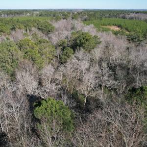 Photo #22 of Off Ashbury Lane, Richlands, NC 10.0 acres