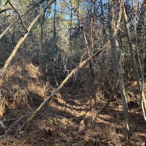Photo #25 of Off Ashbury Lane, Richlands, NC 10.0 acres