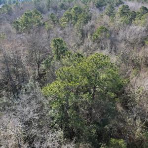 Photo #26 of Off Ashbury Lane, Richlands, NC 10.0 acres