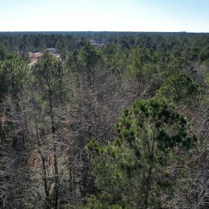 Photo #28 of Off Ashbury Lane, Richlands, NC 10.0 acres