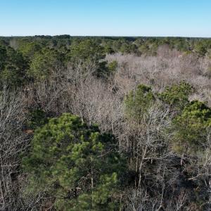 Photo #29 of Off Ashbury Lane, Richlands, NC 10.0 acres