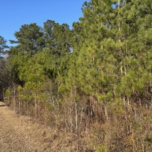 Photo #32 of Off Ashbury Lane, Richlands, NC 10.0 acres