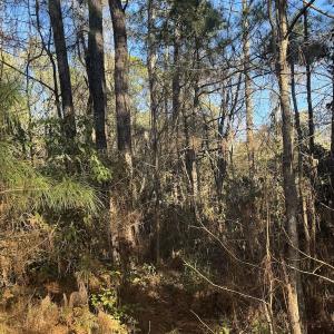 Photo #42 of Off Ashbury Lane, Richlands, NC 10.0 acres