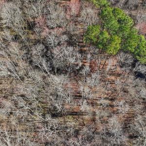 Photo #15 of off Indian Trail Rd - Lot 1, Nashville, NC 4.6 acres