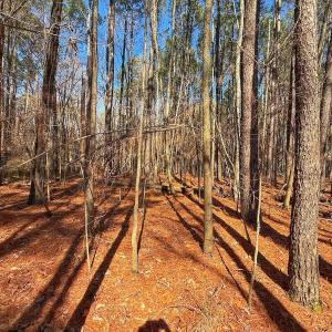 Photo #21 of off Indian Trail Rd - Lot 1, Nashville, NC 4.6 acres