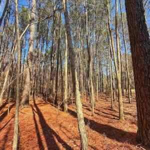 Photo #22 of off Indian Trail Rd - Lot 1, Nashville, NC 4.6 acres