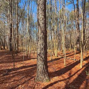 Photo #23 of off Indian Trail Rd - Lot 1, Nashville, NC 4.6 acres