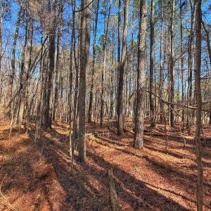 Photo #24 of off Indian Trail Rd - Lot 1, Nashville, NC 4.6 acres
