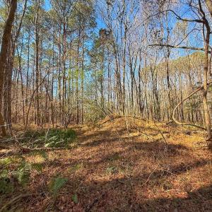Photo #25 of off Indian Trail Rd - Lot 1, Nashville, NC 4.6 acres