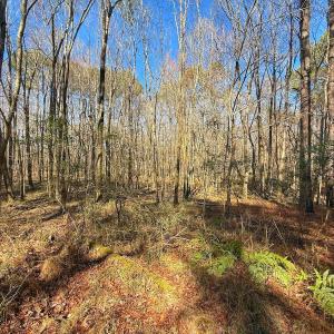 Photo #26 of off Indian Trail Rd - Lot 1, Nashville, NC 4.6 acres