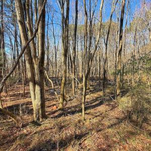 Photo #27 of off Indian Trail Rd - Lot 1, Nashville, NC 4.6 acres