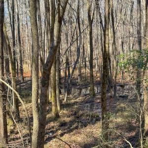 Photo #28 of off Indian Trail Rd - Lot 1, Nashville, NC 4.6 acres