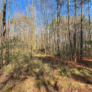 Photo #29 of off Indian Trail Rd - Lot 1, Nashville, NC 4.6 acres