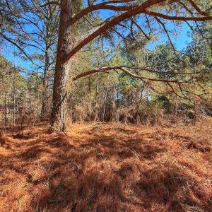 Photo #20 of off Indian Trail Rd - Lot 2, Nashville, NC 4.2 acres