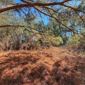 Photo #22 of off Indian Trail Rd - Lot 2, Nashville, NC 4.2 acres