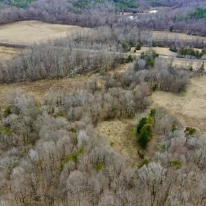 Photo #11 of Off Longs Mill Road - Lot 1, Blanch, NC 35.5 acres