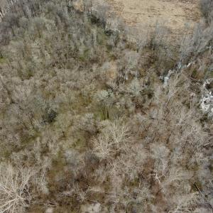 Photo #13 of Off Longs Mill Road - Lot 1, Blanch, NC 35.5 acres