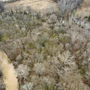 Photo #14 of Off Longs Mill Road - Lot 1, Blanch, NC 35.5 acres