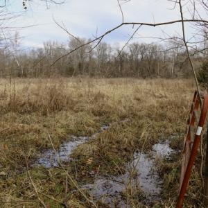 Photo #19 of Off Longs Mill Road - Lot 1, Blanch, NC 35.5 acres