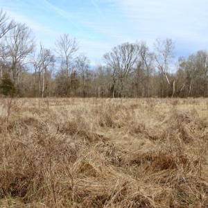 Photo #20 of Off Longs Mill Road - Lot 1, Blanch, NC 35.5 acres