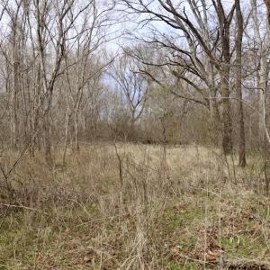 Photo #21 of Off Longs Mill Road - Lot 1, Blanch, NC 35.5 acres