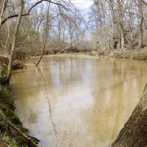 Photo #22 of Off Longs Mill Road - Lot 1, Blanch, NC 35.5 acres