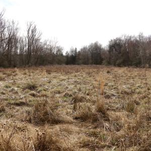 Photo #24 of Off Longs Mill Road - Lot 1, Blanch, NC 35.5 acres