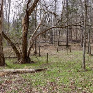 Photo #26 of Off Longs Mill Road - Lot 1, Blanch, NC 35.5 acres