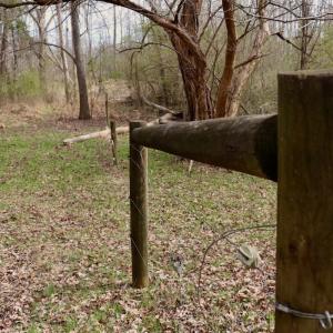 Photo #27 of Off Longs Mill Road - Lot 1, Blanch, NC 35.5 acres