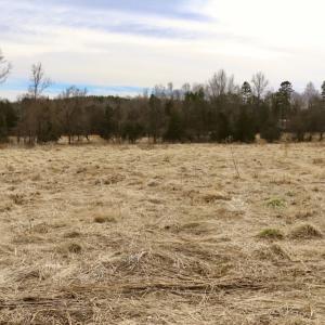 Photo #30 of Off Longs Mill Road - Lot 1, Blanch, NC 35.5 acres
