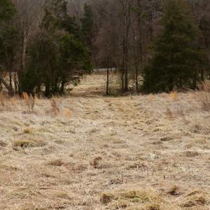 Photo #31 of Off Longs Mill Road - Lot 1, Blanch, NC 35.5 acres