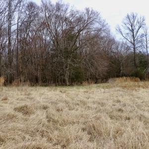 Photo #32 of Off Longs Mill Road - Lot 1, Blanch, NC 35.5 acres