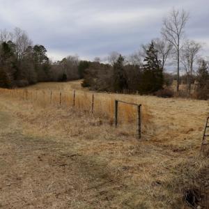Photo #34 of Off Longs Mill Road - Lot 1, Blanch, NC 35.5 acres