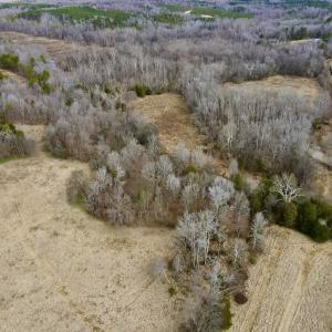 Photo #7 of Off Longs Mill Road - Lot 1, Blanch, NC 35.5 acres