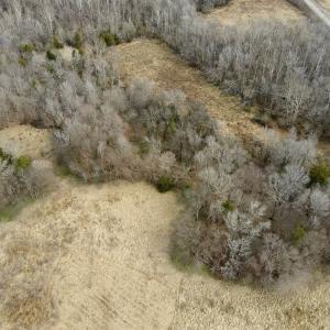 Photo #8 of Off Longs Mill Road - Lot 1, Blanch, NC 35.5 acres