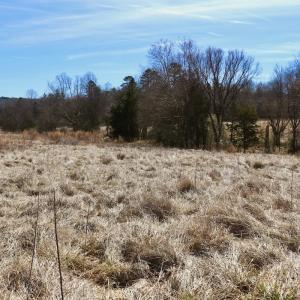 Photo #14 of Off Longs Mill Road - Lot 2, Blanch, NC 10.2 acres