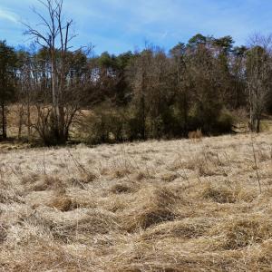Photo #15 of Off Longs Mill Road - Lot 2, Blanch, NC 10.2 acres