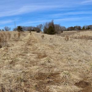 Photo #16 of Off Longs Mill Road - Lot 2, Blanch, NC 10.2 acres