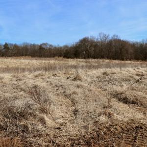 Photo #17 of Off Longs Mill Road - Lot 2, Blanch, NC 10.2 acres