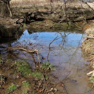 Photo #18 of Off Longs Mill Road - Lot 2, Blanch, NC 10.2 acres