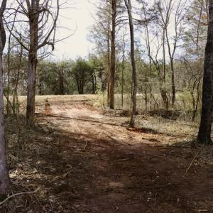 Photo #19 of Off Longs Mill Road - Lot 2, Blanch, NC 10.2 acres