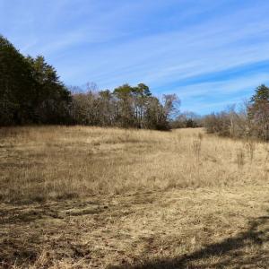 Photo #20 of Off Longs Mill Road - Lot 2, Blanch, NC 10.2 acres