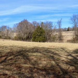 Photo #22 of Off Longs Mill Road - Lot 2, Blanch, NC 10.2 acres