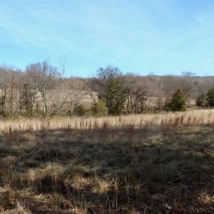 Photo #24 of Off Longs Mill Road - Lot 2, Blanch, NC 10.2 acres