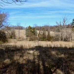 Photo #25 of Off Longs Mill Road - Lot 2, Blanch, NC 10.2 acres