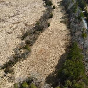 Photo #5 of Off Longs Mill Road - Lot 2, Blanch, NC 10.2 acres