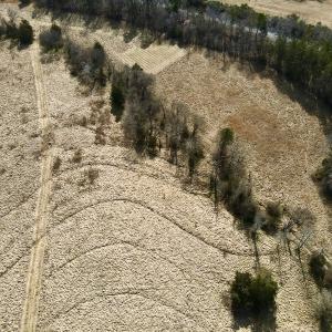 Photo #6 of Off Longs Mill Road - Lot 2, Blanch, NC 10.2 acres