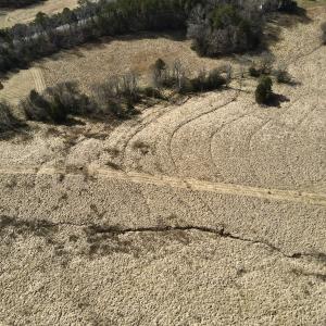 Photo #8 of Off Longs Mill Road - Lot 2, Blanch, NC 10.2 acres
