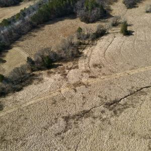 Photo #9 of Off Longs Mill Road - Lot 2, Blanch, NC 10.2 acres